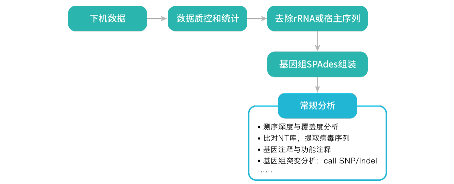 病毒基因组测序-分析流程 病毒基因组测序-分析流程