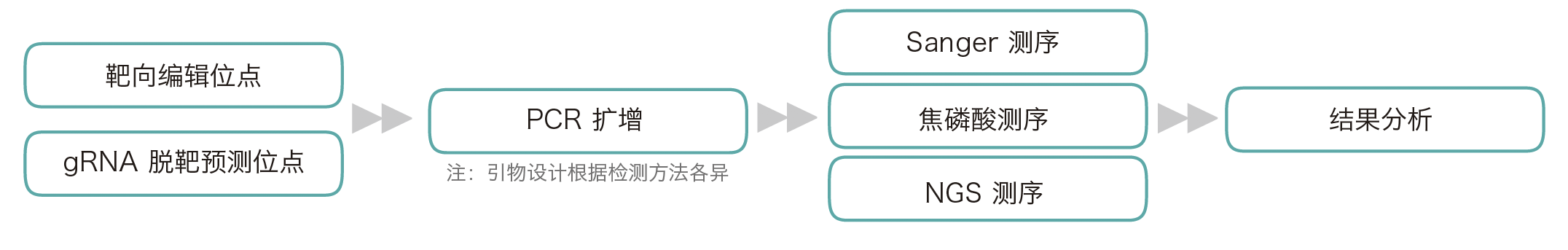 服务项目与技术方法