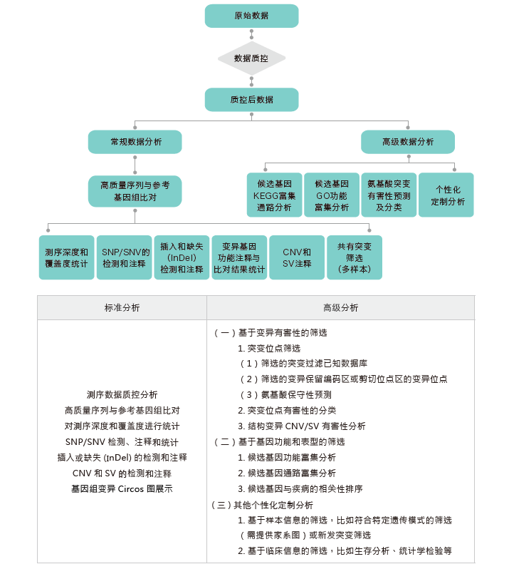 全基因组重测序-生信分析流程-k8凯发基因
