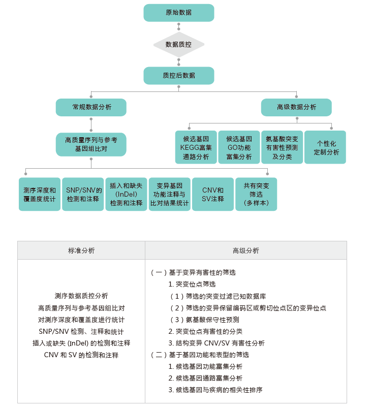 全外显子测序-生信分析流程-k8凯发基因 全外显子测序-生信分析流程-k8凯发基因