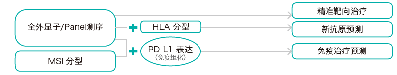目标区域靶向捕获测序-肿瘤突变分析检测方法-k8凯发基因