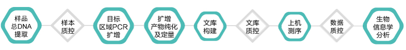 16S 18S ITS扩增子-技术路线-k8凯发基因 16S 18S ITS扩增子-技术路线-k8凯发基因