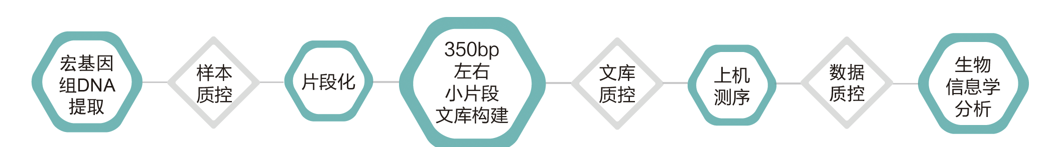 宏基因组测序-技术路线-k8凯发基因 宏基因组测序-技术路线-k8凯发基因