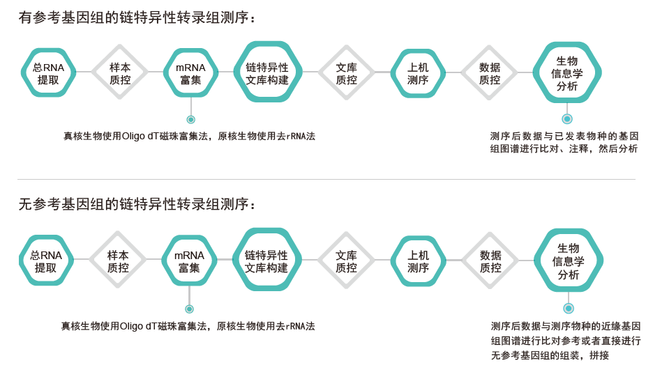 转录组测序-技术路线-k8凯发基因