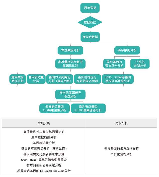 转录组测序-生信分析流程（有参）-k8凯发基因