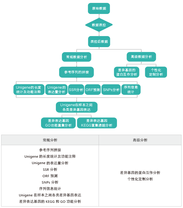 转录组测序-生信分析流程（无参）-k8凯发基因
