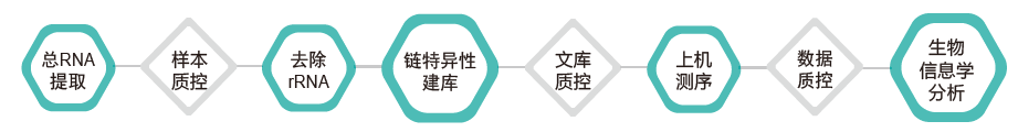 长链非编码RNA（lncRNA）测序-技术路线-k8凯发基因