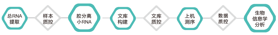 小RNA（small RNA）测序-技术路线-k8凯发基因