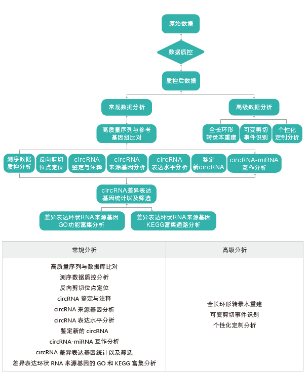 环状RNA（circRNA）测序-生信分析流程-k8凯发基因