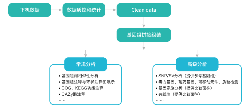微生物基因组重测序-分析-k8凯发基因