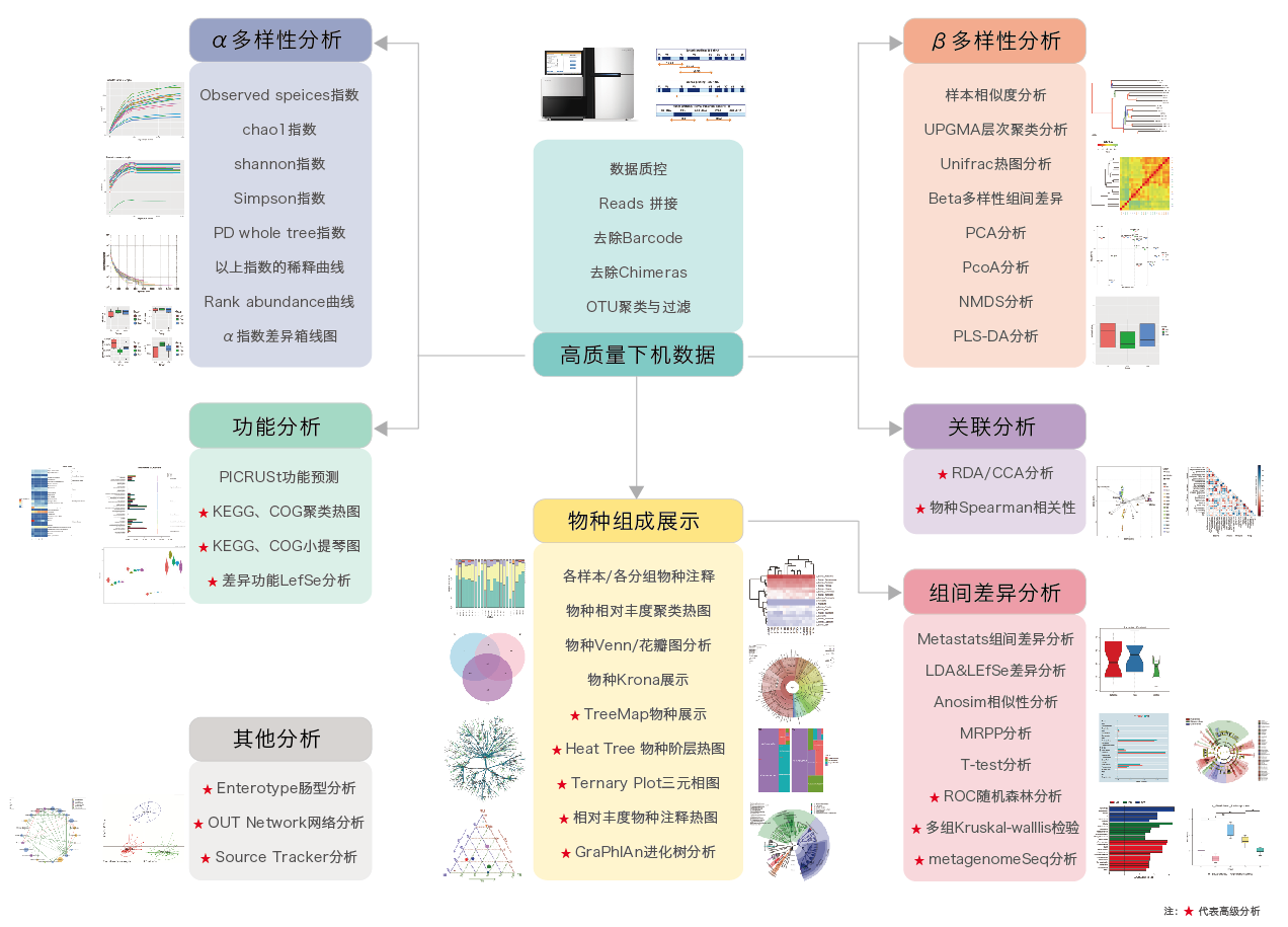 16S/18S/ITS扩增子测序-生信分析流程-k8凯发基因 16S/18S/ITS扩增子测序-生信分析流程-k8凯发基因