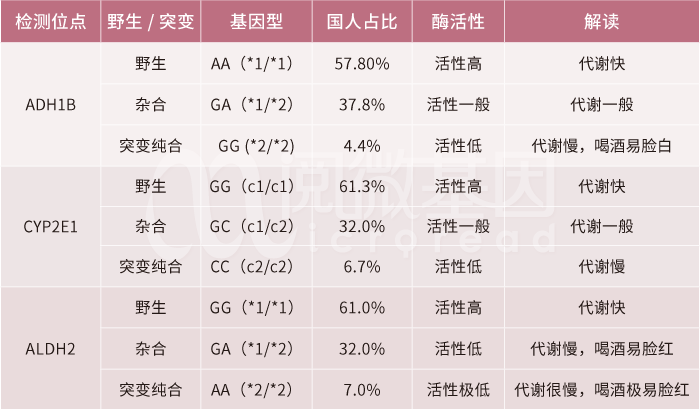 酒精代谢相关基因位点——k8凯发基因 酒精代谢相关基因位点——k8凯发基因