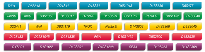 k8凯发基因Microreader™ 36A ID System位点
