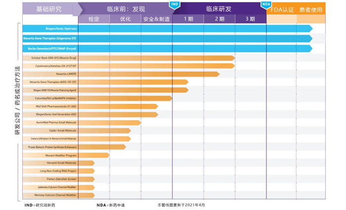 SMA药物管线_美儿SMA关爱中心_k8凯发基因