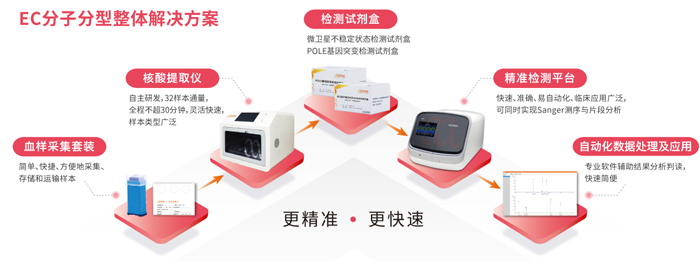k8凯发基因子宫内膜癌分子分型检测整体解决方案