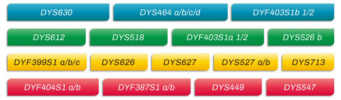 MicroreaderTM-RM-Y-ID-System位点信息_家系排查中如何运用好RM Y-STR?_k8凯发基因 MicroreaderTM-RM-Y-ID-System位点信息_家系排查中如何运用好RM Y-STR?_k8凯发基因